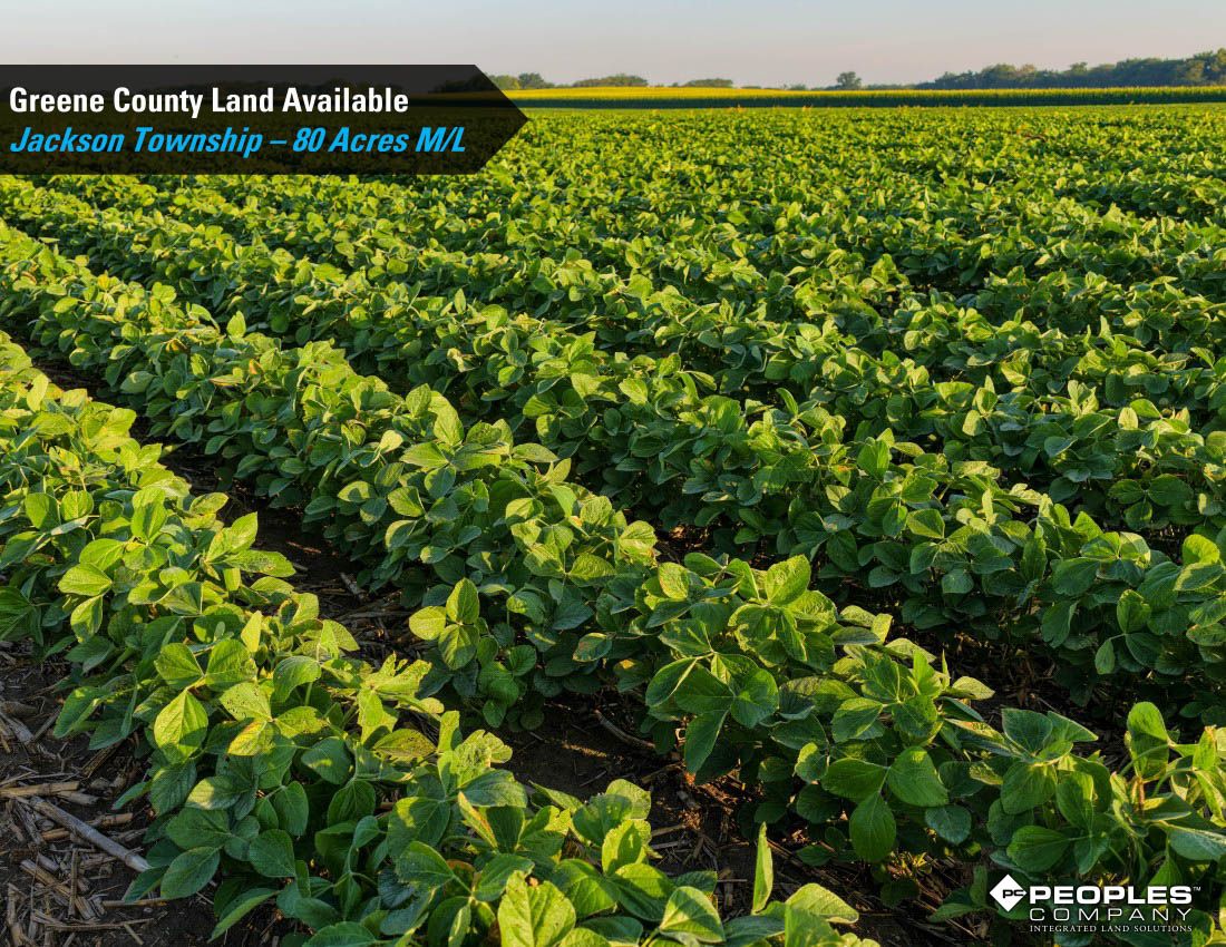 Listing Photo: Greene-County-Iowa-Farmland-Available-80-Acres-Scranton-Jefferson-19706 (4)